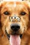 Nonton Film A Dog’s Purpose (2017) Sub Indo Download Movie Online DRAMA21 LK21 IDTUBE INDOXXI