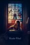 Nonton Film Wonder Wheel (2017) Sub Indo Download Movie Online DRAMA21 LK21 IDTUBE INDOXXI