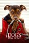 Nonton Film A Dog’s Way Home (2019) Sub Indo Download Movie Online DRAMA21 LK21 IDTUBE INDOXXI