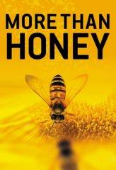 Nonton Film More Than Honey (2012) Sub Indo Download Movie Online DRAMA21 LK21 IDTUBE INDOXXI