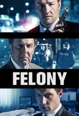 Nonton Film Felony (2014) Sub Indo Download Movie Online DRAMA21 LK21 IDTUBE INDOXXI