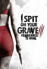 Nonton Film I Spit on Your Grave III: Vengeance is Mine (2015) Sub Indo Download Movie Online DRAMA21 LK21 IDTUBE INDOXXI