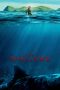 Nonton Film The Shallows (2016) Sub Indo Download Movie Online DRAMA21 LK21 IDTUBE INDOXXI