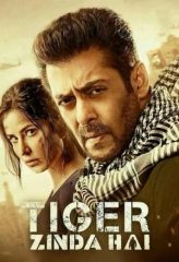 Nonton Film Tiger Zinda Hai (2017) Sub Indo Download Movie Online DRAMA21 LK21 IDTUBE INDOXXI