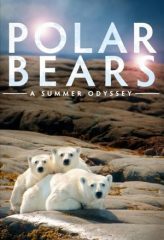 Nonton Film Polar Bears: A Summer Odyssey (2012) Sub Indo Download Movie Online DRAMA21 LK21 IDTUBE INDOXXI