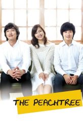 Nonton Film The Peach Tree (2012) Sub Indo Download Movie Online DRAMA21 LK21 IDTUBE INDOXXI