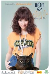 Nonton Film Cat A Wabb (2015) Sub Indo Download Movie Online DRAMA21 LK21 IDTUBE INDOXXI