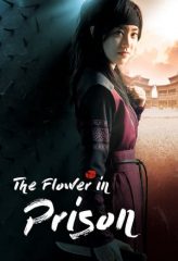 Nonton Film The Flower in Prison (2016) Sub Indo Download Movie Online DRAMA21 LK21 IDTUBE INDOXXI