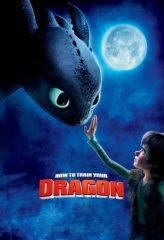 Nonton Film How to Train Your Dragon (2010) Sub Indo Download Movie Online DRAMA21 LK21 IDTUBE INDOXXI