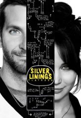 Nonton Film Silver Linings Playbook (2012) Sub Indo Download Movie Online DRAMA21 LK21 IDTUBE INDOXXI