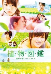 Nonton Film Evergreen Love (2016) Sub Indo Download Movie Online DRAMA21 LK21 IDTUBE INDOXXI