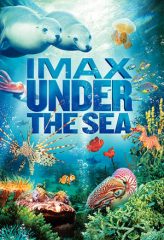 Nonton Film Under the Sea 3D (2009) Sub Indo Download Movie Online DRAMA21 LK21 IDTUBE INDOXXI