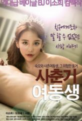 Nonton Film Teenage Little Sister (2018) Sub Indo Download Movie Online DRAMA21 LK21 IDTUBE INDOXXI