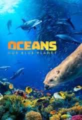 Nonton Film Oceans: Our Blue Planet (2018) Sub Indo Download Movie Online DRAMA21 LK21 IDTUBE INDOXXI