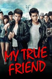 Nonton Film My True Friend (2012) Sub Indo Download Movie Online DRAMA21 LK21 IDTUBE INDOXXI