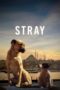 Nonton Film Stray (2020) Sub Indo Download Movie Online DRAMA21 LK21 IDTUBE INDOXXI